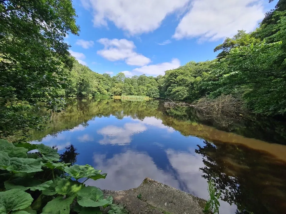 Calder Vale Walk (2)
