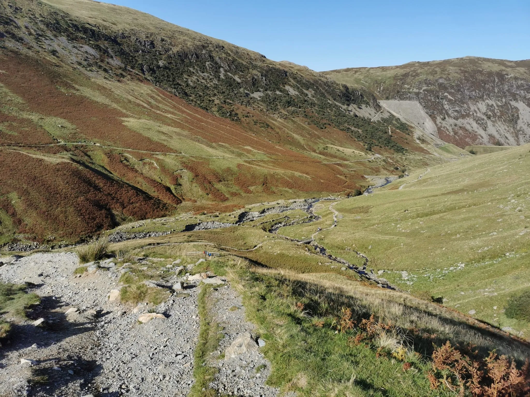 Catstye Cam (14)