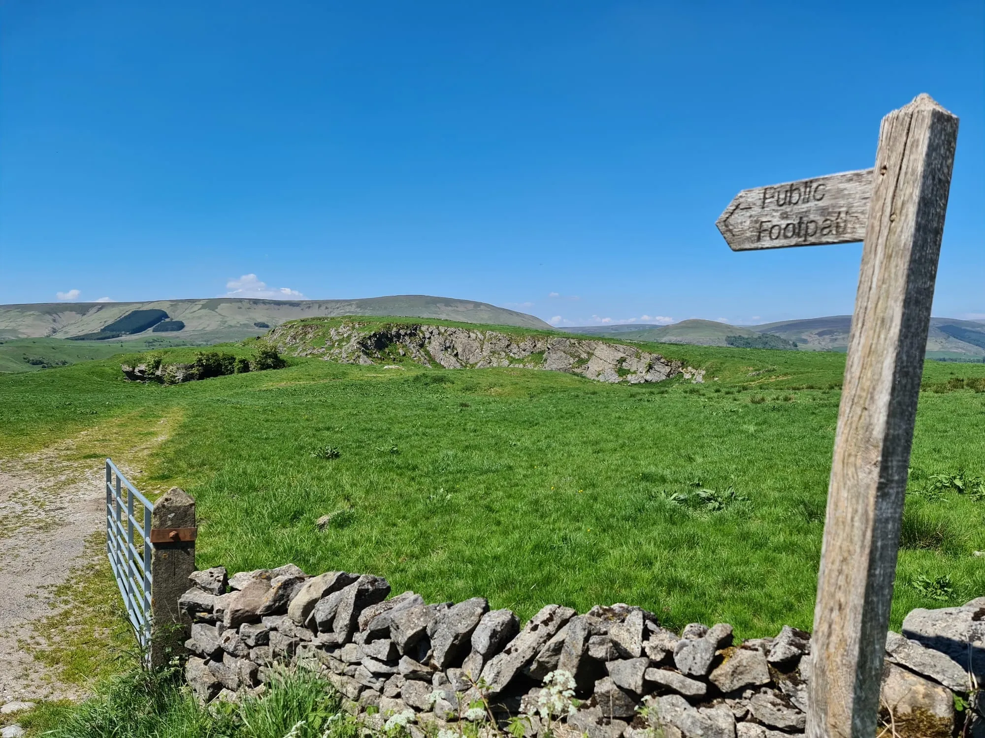 Cow Ark Walk (1)