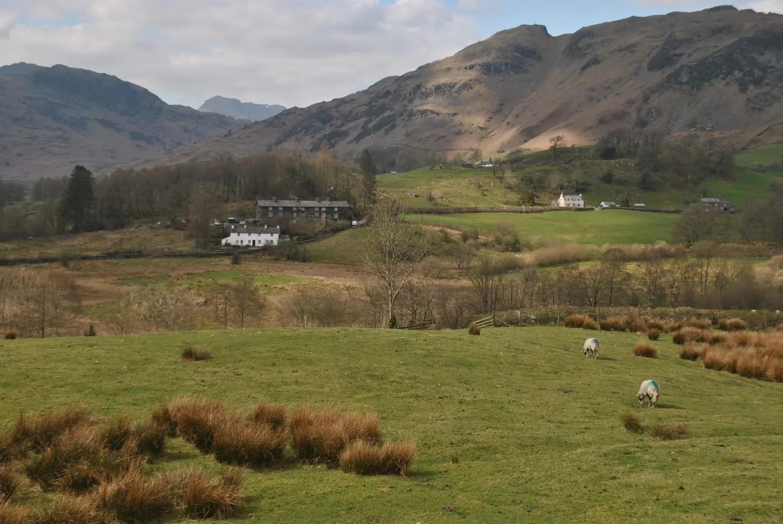 Elterwater (6)