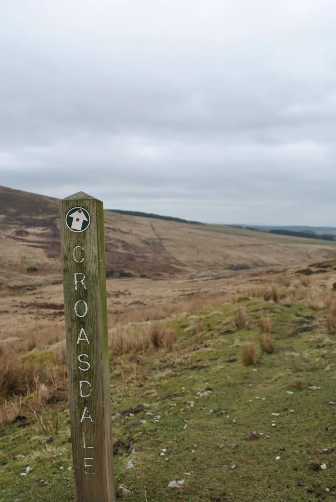 Hornby Road (5)
