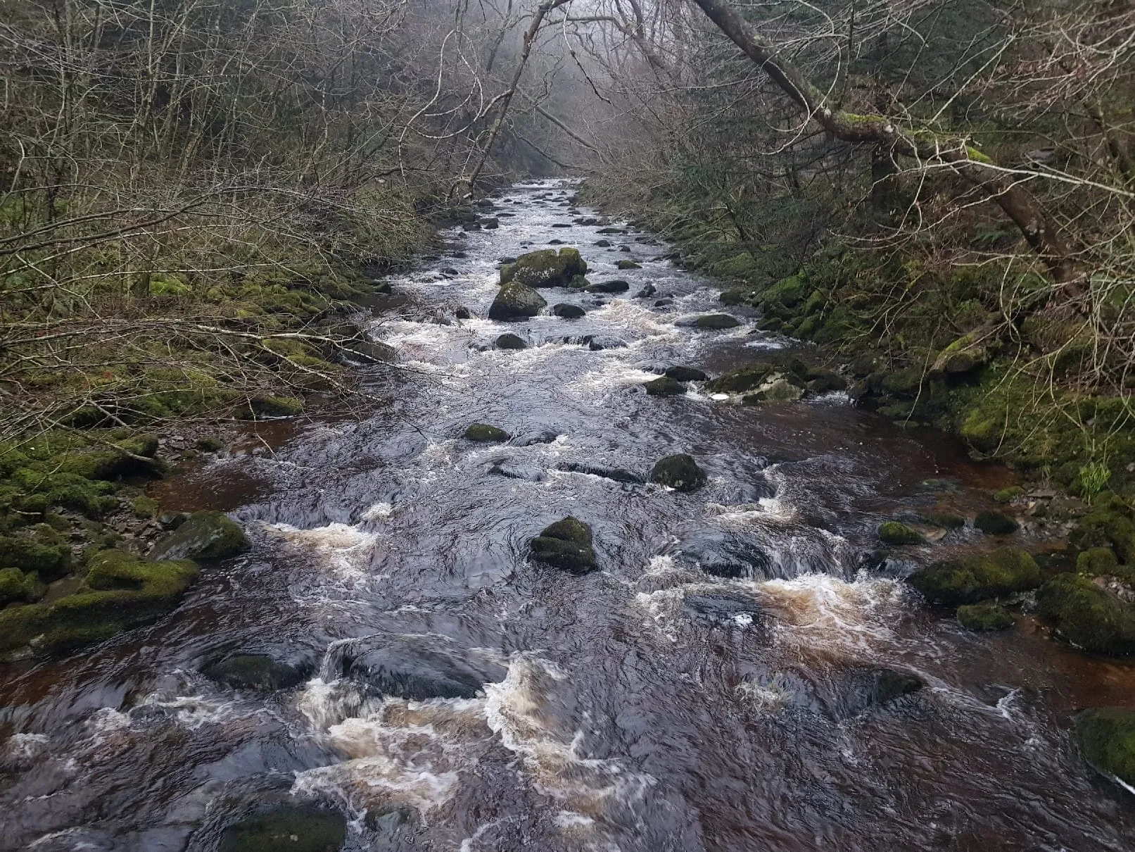 Ingleton Waterfalls (5)