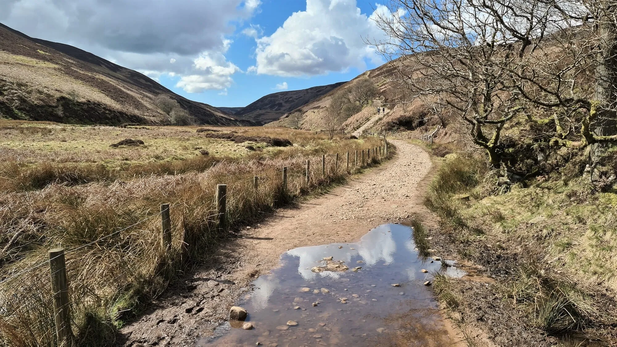 Langden Brook walk (3)