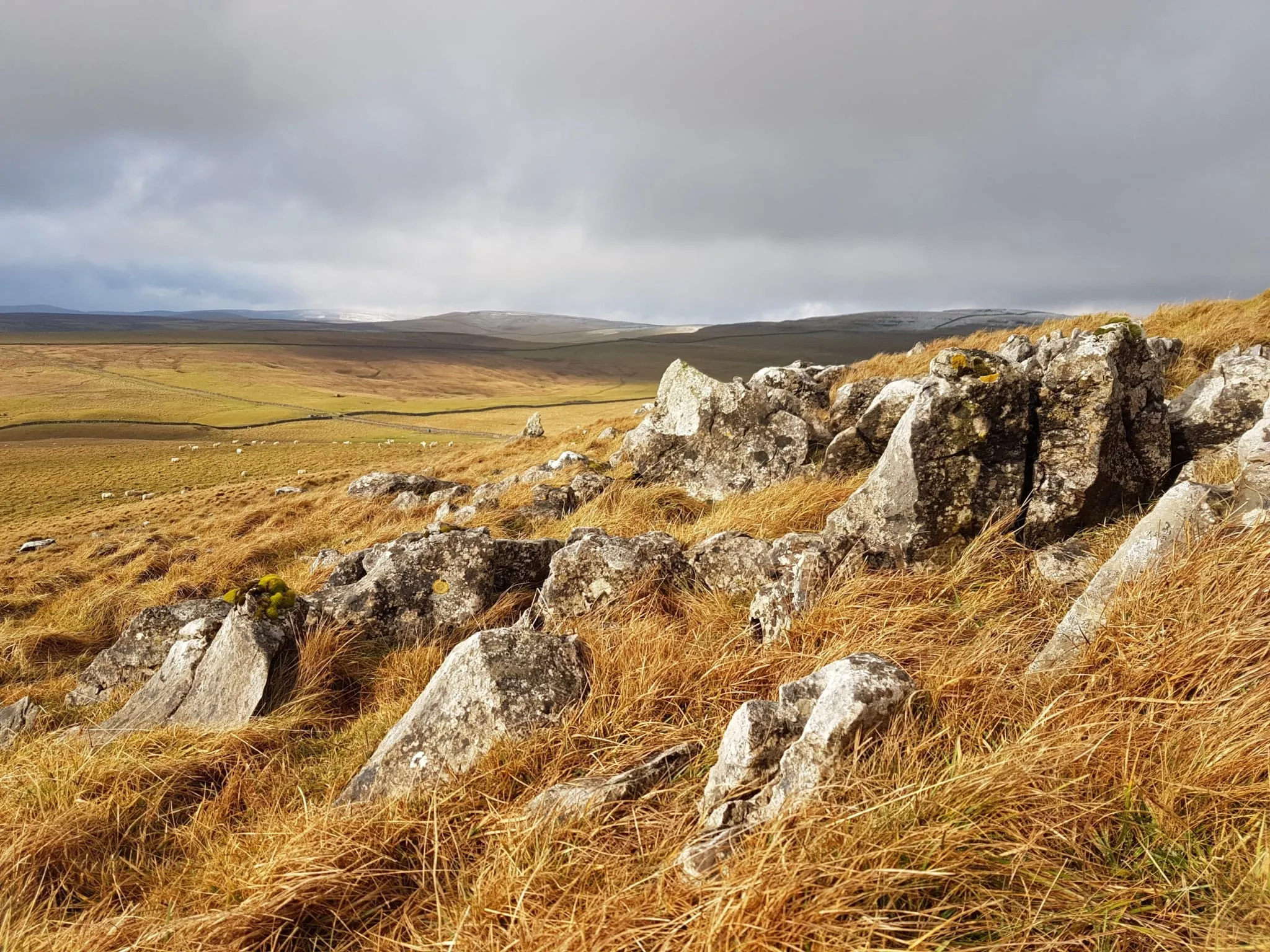 Malham Moor walk (5)