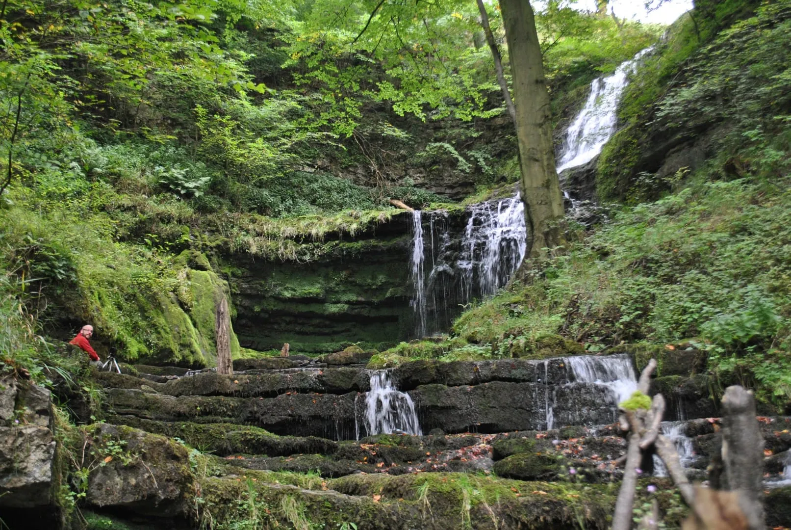 Scaleber Force (17)