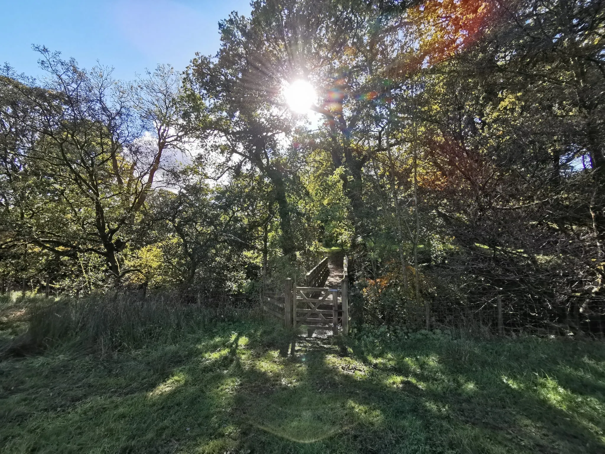 Slaidburn walk (11)