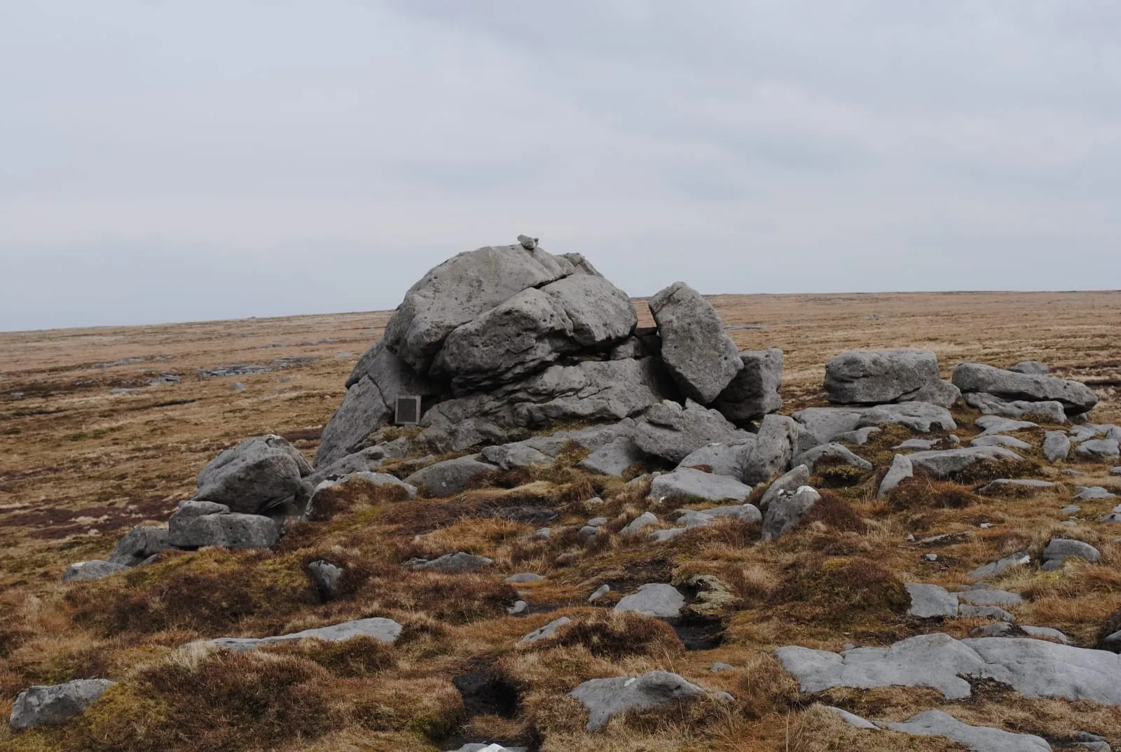 Ward's Stone Stone (21)