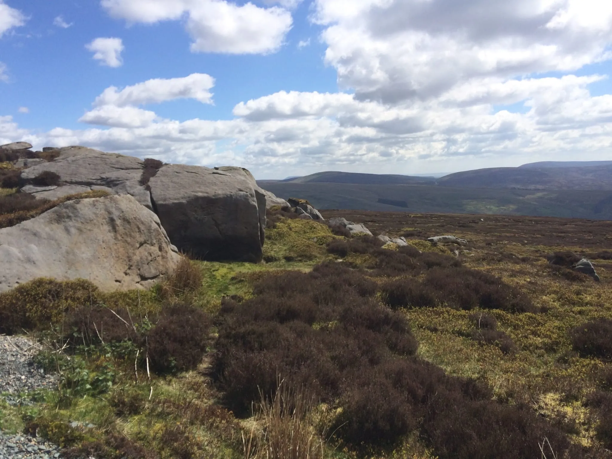 Ward's Stone tracks (4)