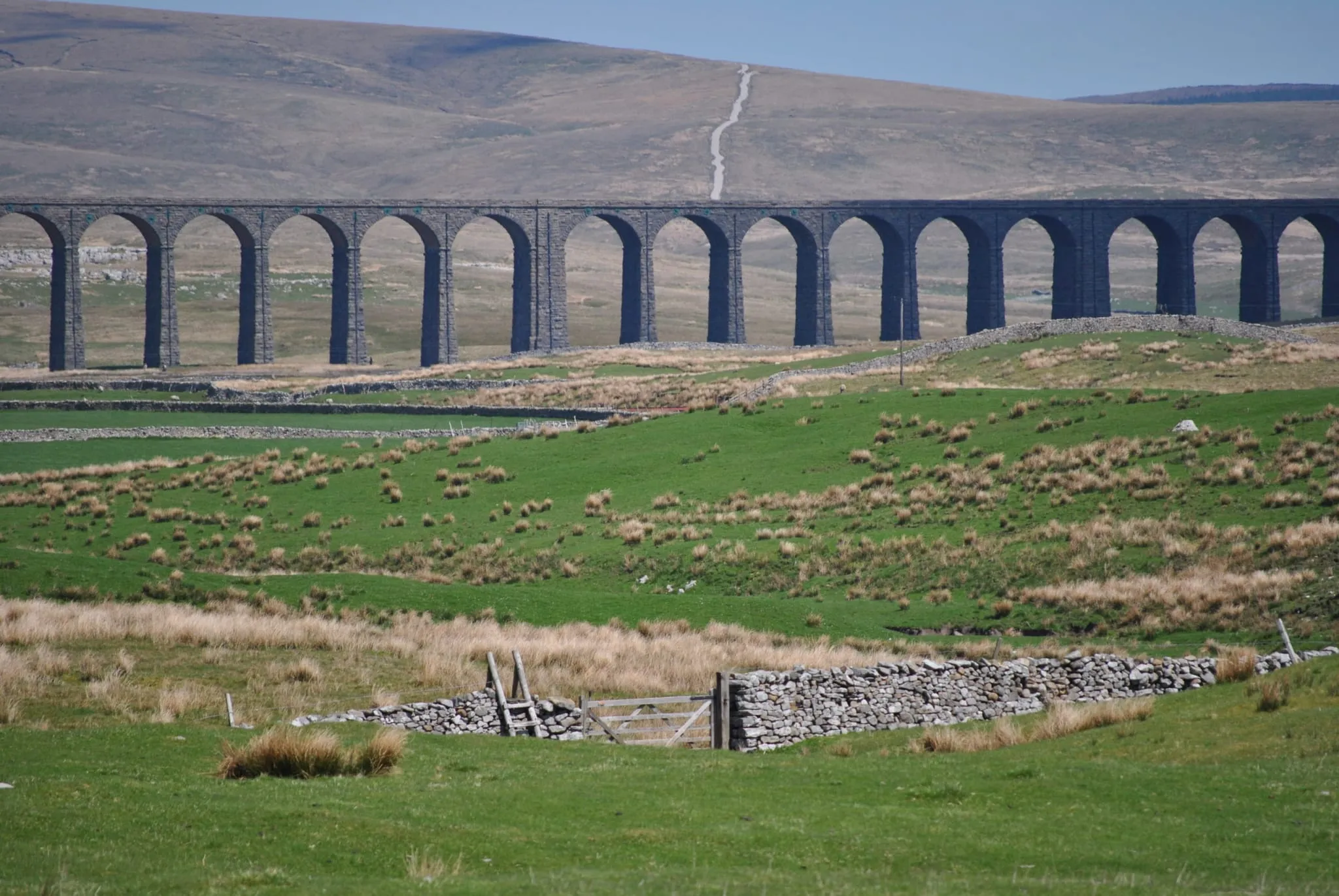 Whernside (32)