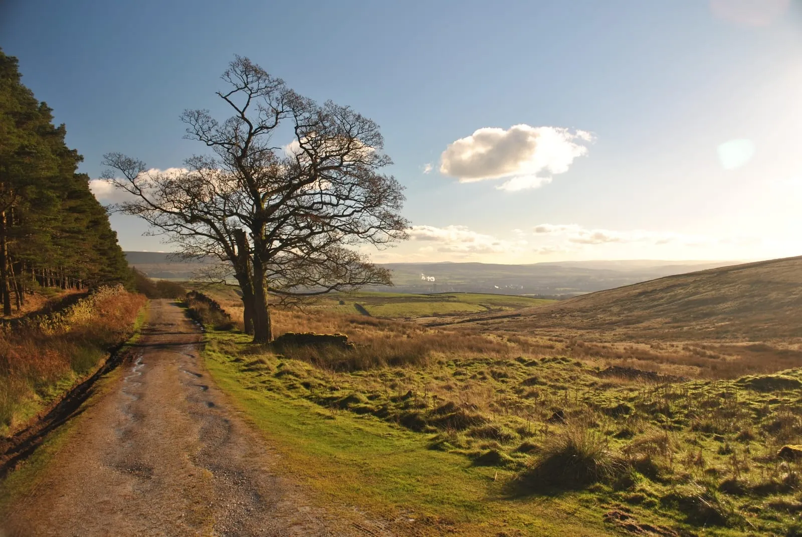 grindleton-fell-7