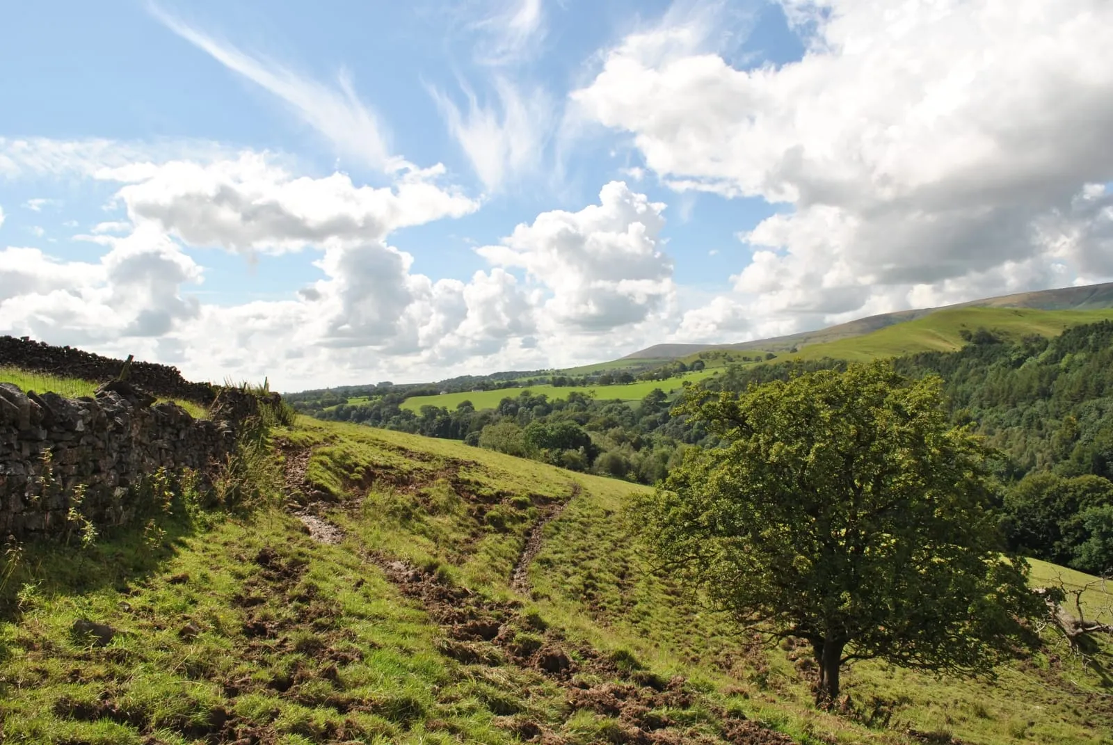 whitewell-and-cow-ark-aug-2011-13